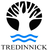 Tredinnick Property